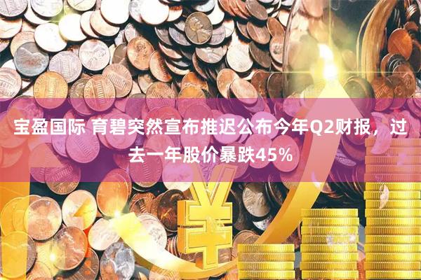 宝盈国际 育碧突然宣布推迟公布今年Q2财报，过去一年股价暴跌45%