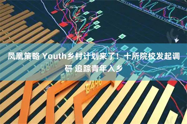 凤凰策略 Youth乡村计划来了！十所院校发起调研 追踪青年入乡