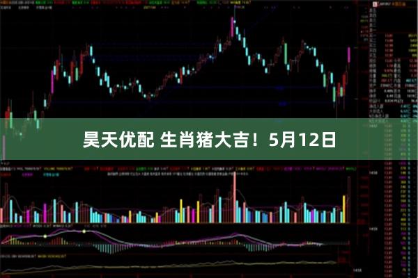 昊天优配 生肖猪大吉！5月12日