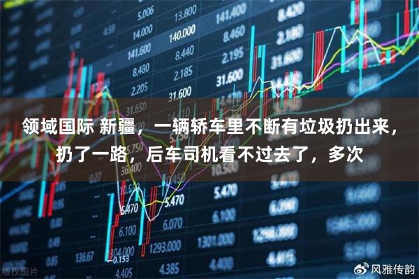 领域国际 新疆，一辆轿车里不断有垃圾扔出来，扔了一路，后车司机看不过去了，多次